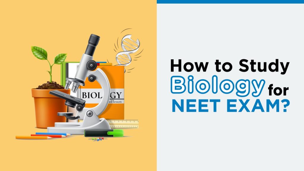 How to Study Biology for NEET Exam?